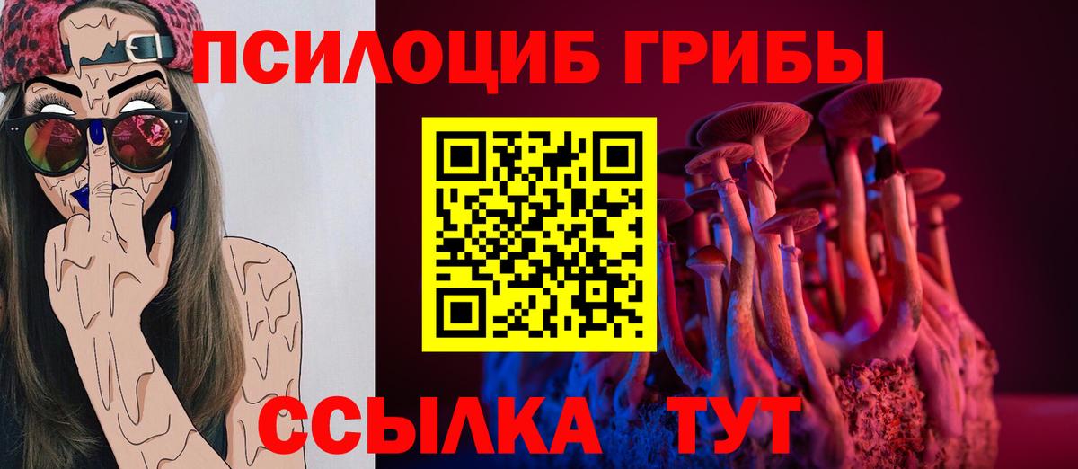Осинники  купить наркотики сайты  Вход с VPN  Галлюциногенные грибы Cubensis  Галлюциногенные грибы GOLDEN TEACHER 